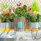 Automatic Drip Watering System for Plant Pots Regott InnovaGoods Bigbuy