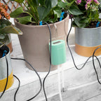 Automatic Drip Watering System for Plant Pots Regott InnovaGoods Bigbuy