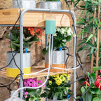 Automatic Drip Watering System for Plant Pots Regott InnovaGoods Bigbuy