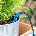 Automatic Drip Watering System for Plant Pots Regott InnovaGoods Bigbuy